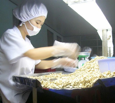 Tanimex Company processes cashew nuts for exports in Long An Province (Photo: SGGP)